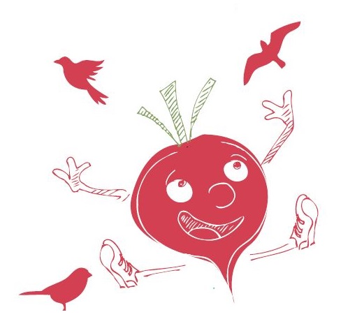 Observer les oiseaux